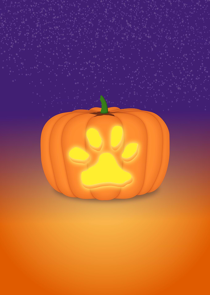 Halloween pumpkin lantern with cat paw