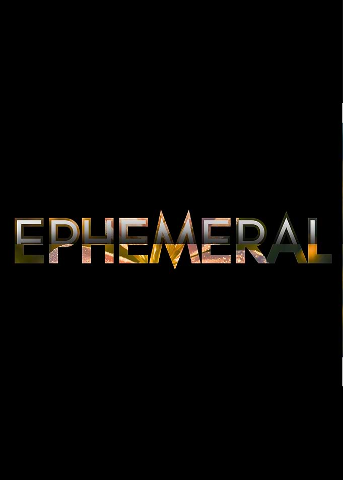 Ephemeral Text Art