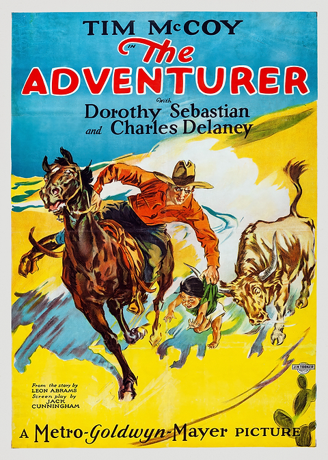 The Adventurer Movie Poster — vintage film art printed on metal