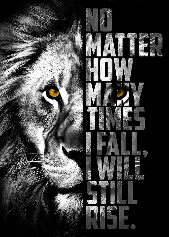 Never Give Up