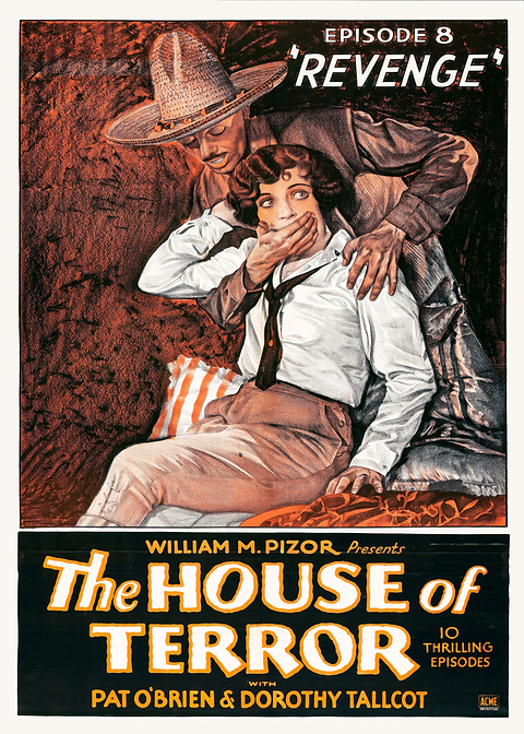 The House of Terror Poster — vintage film art printed on metal