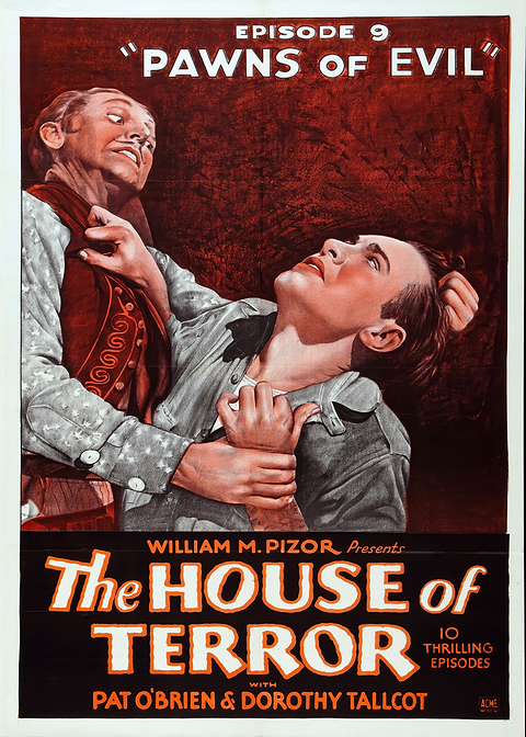 House of Terror Movie Poster — vintage film art printed on metal