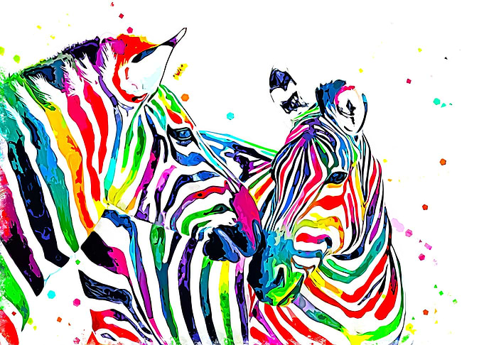 Zebra