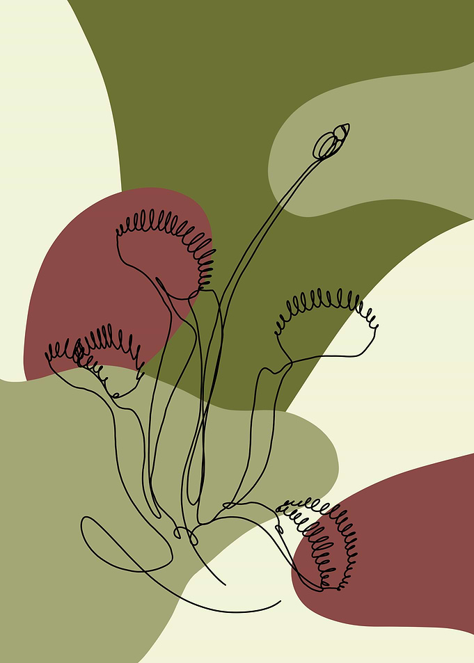 Venus Fly Trap Line Art