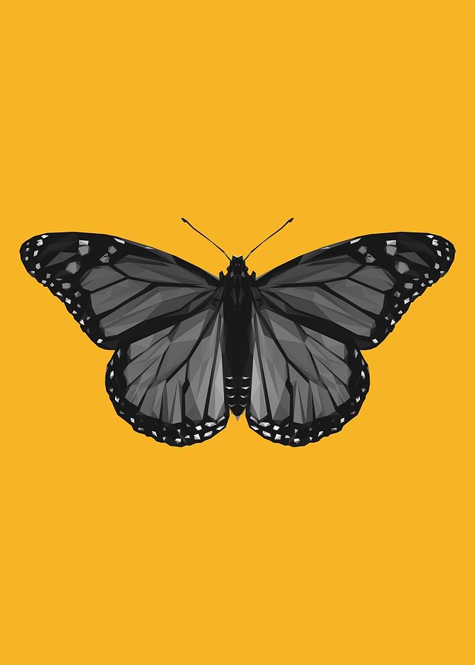 Black Butterfly on Yellow