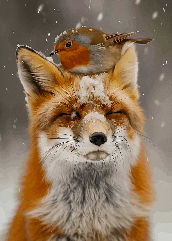 Fox and Robin in Winter