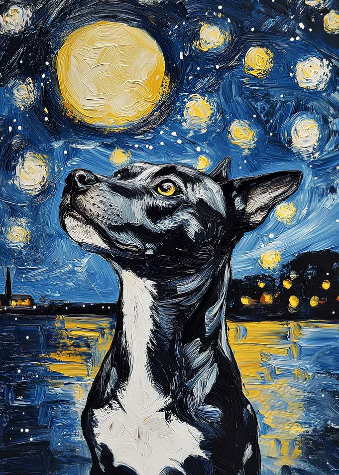 Dog in Starry Night