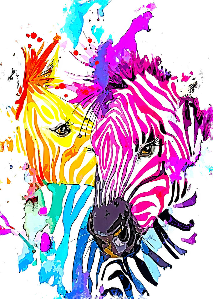 Zebra