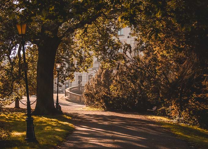 Park Path with Lampposts