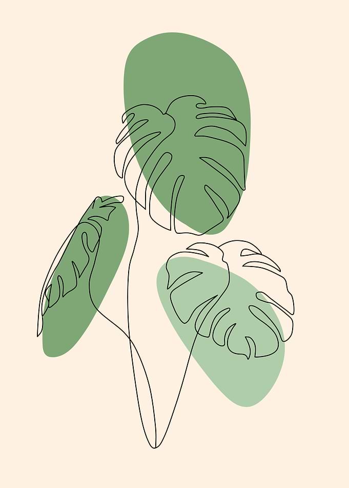 Line Art Monstera Leaves