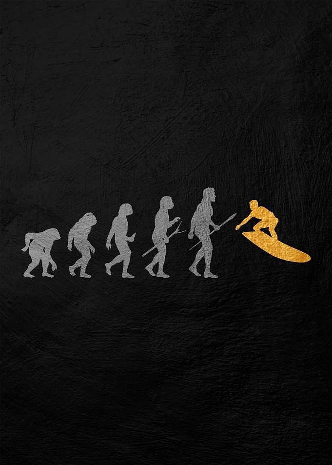 Evolution of Surfing