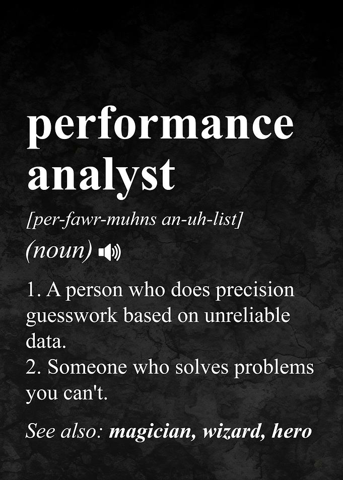 Performance Analyst Job Definition