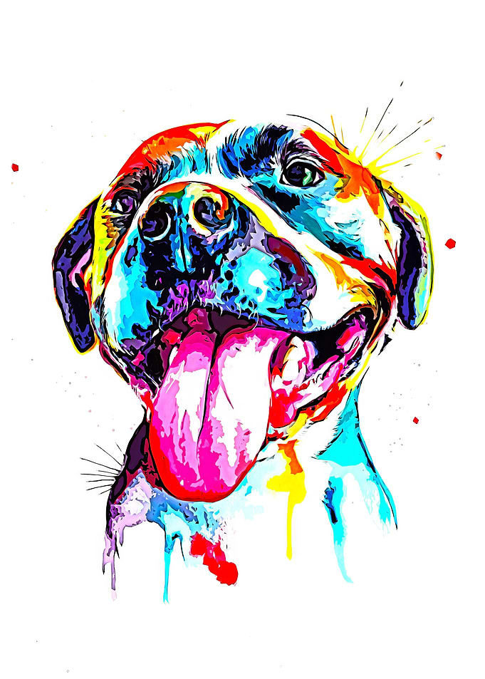Pitbull