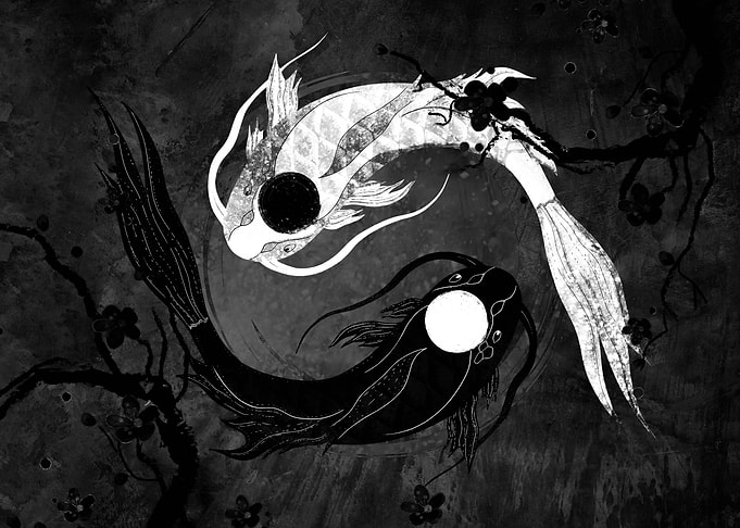 Yin Yang koi