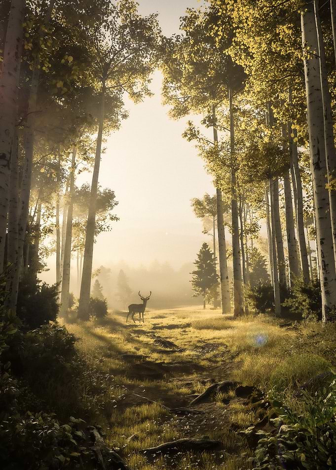 Golden Grove