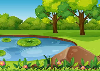 Peaceful Pond in a Forest