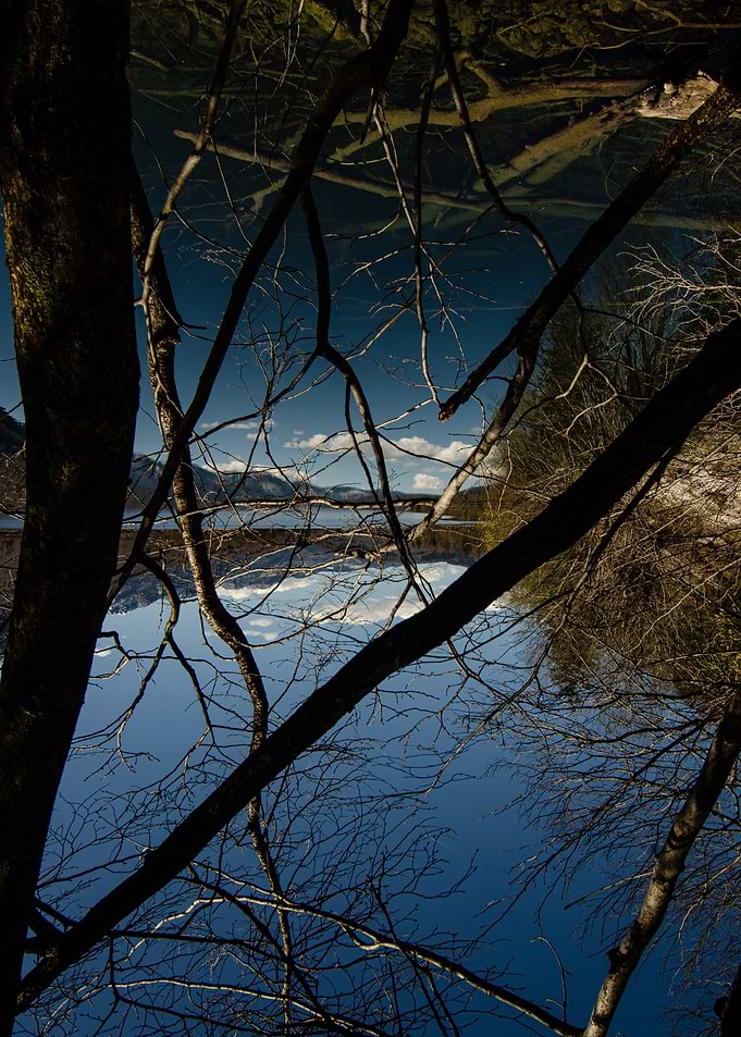 Reflected Sky Through Branches