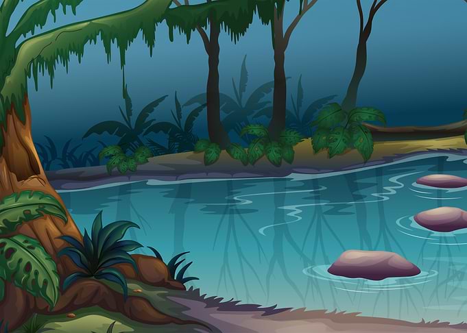 Jungle River Scene