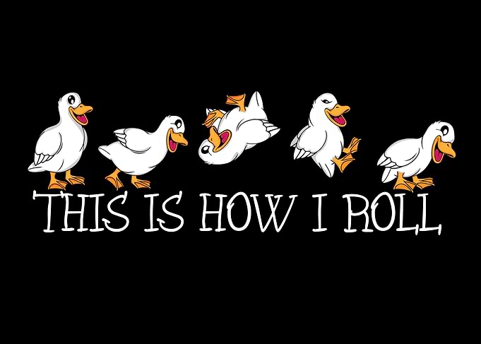 Duck Lover kids This Is How I Roll Cute Ducks