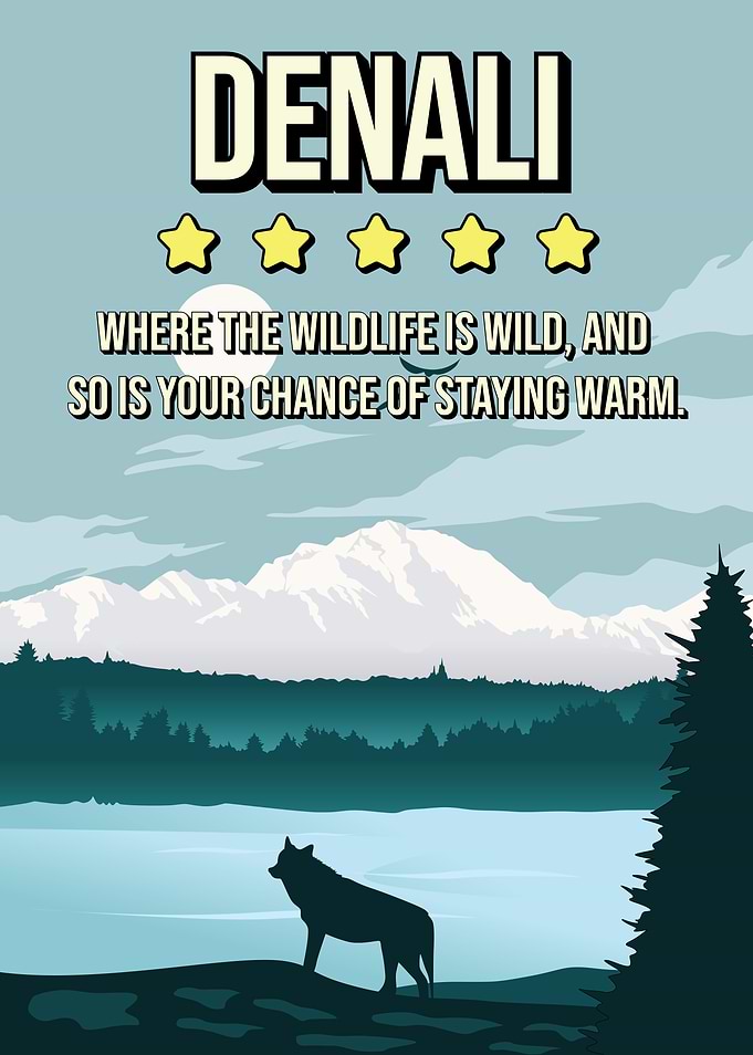 Funny Denali National Park Humor Wilderness Travel Poster
