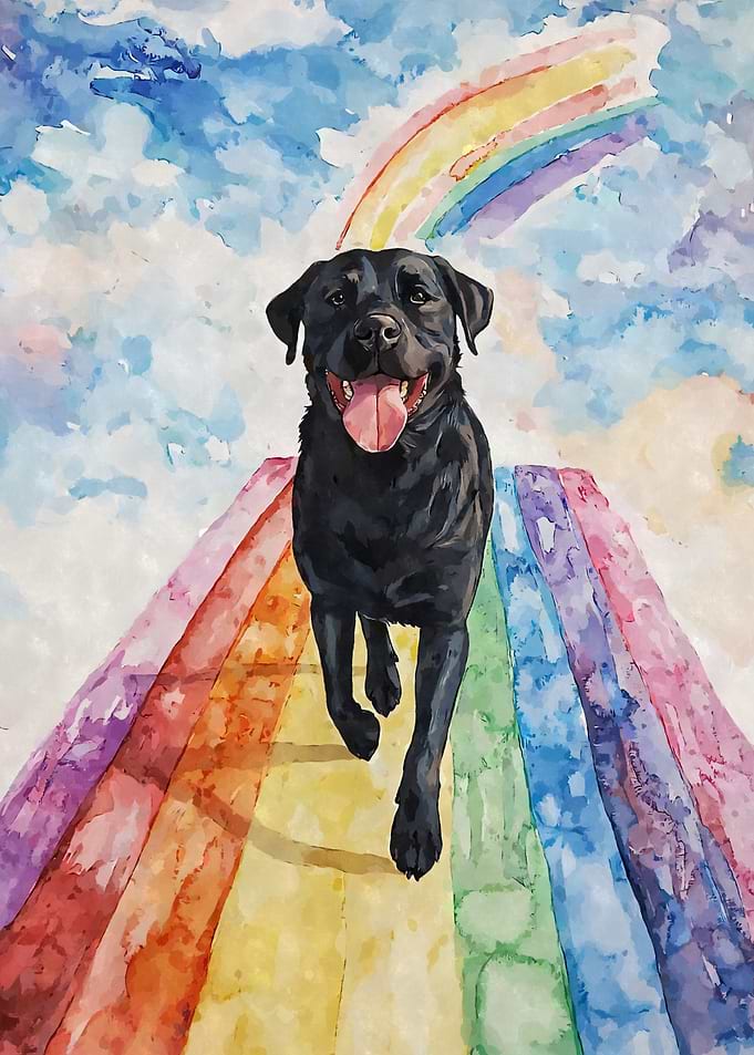 Black Lab Rainbow Bridge