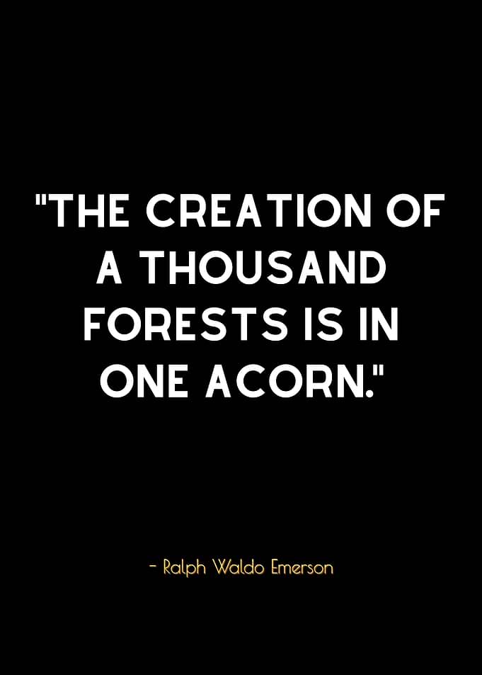 Emerson Quote - Acorn & Forests