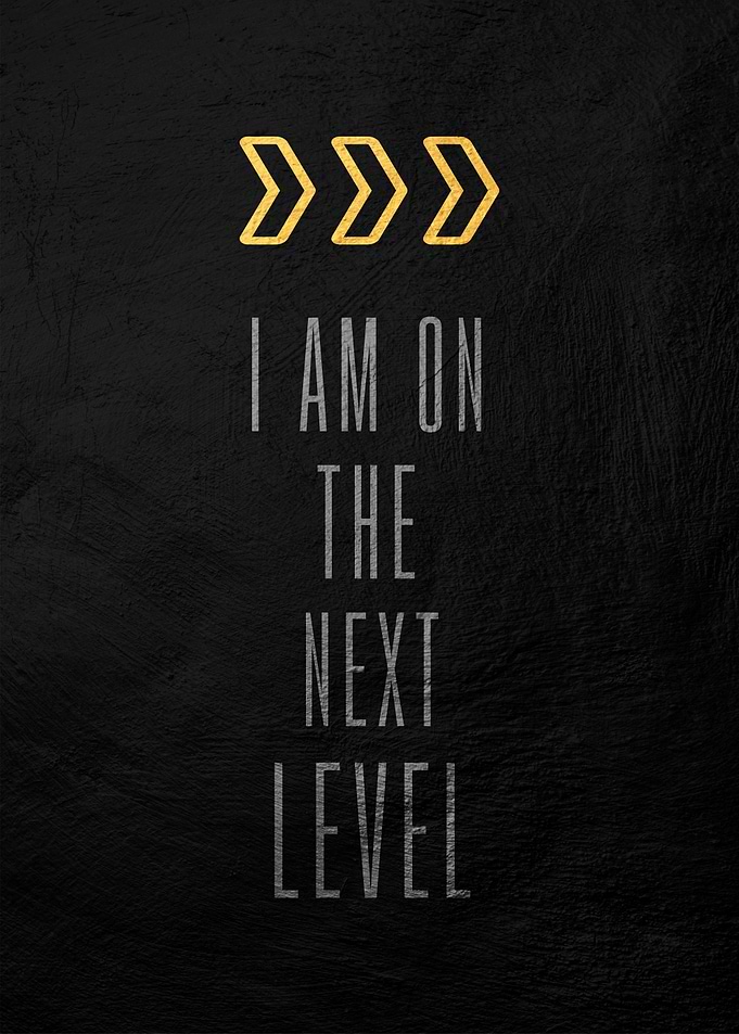 Next Level Motivation Poster