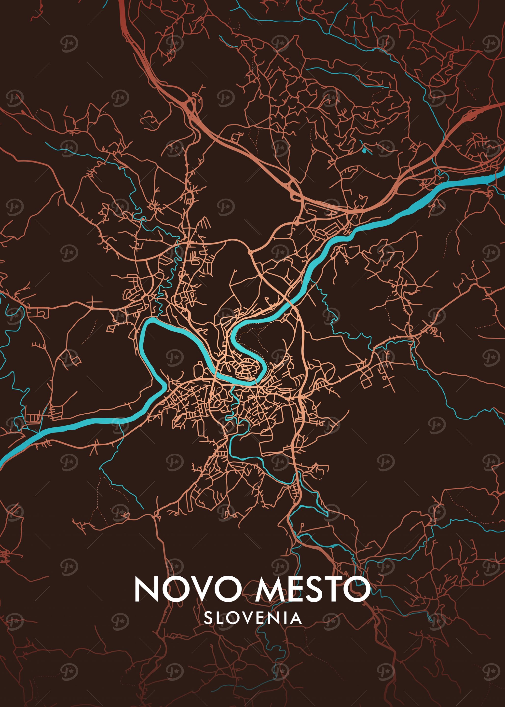 Novo Mesto City Map