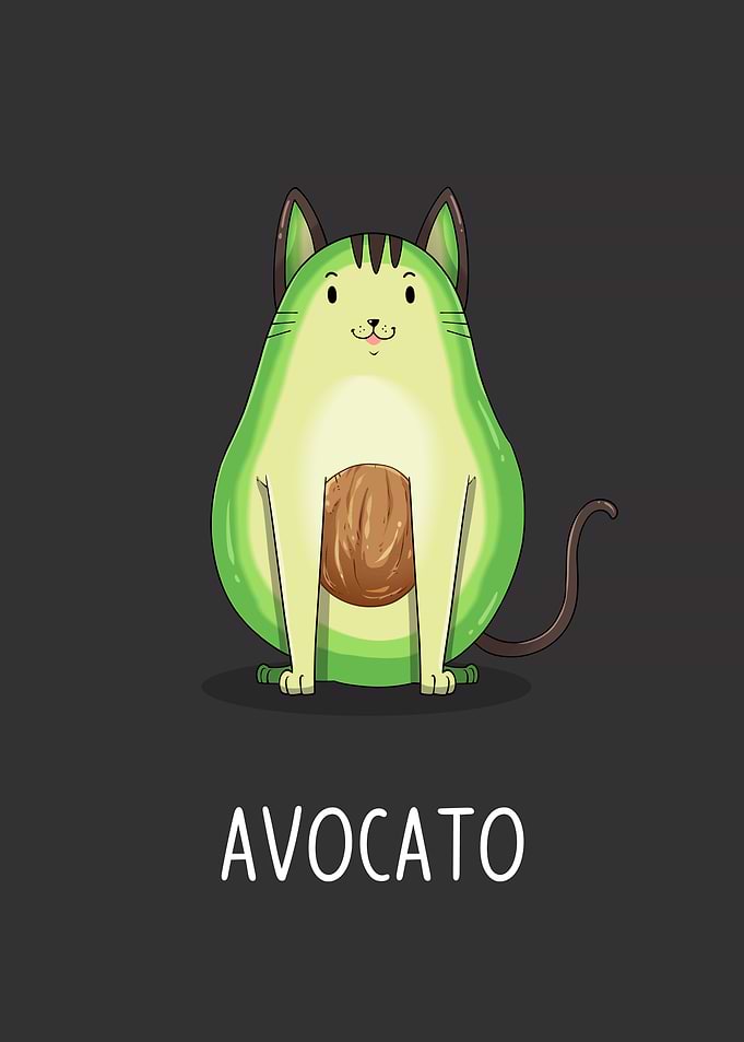 avoCATo Funny Puns