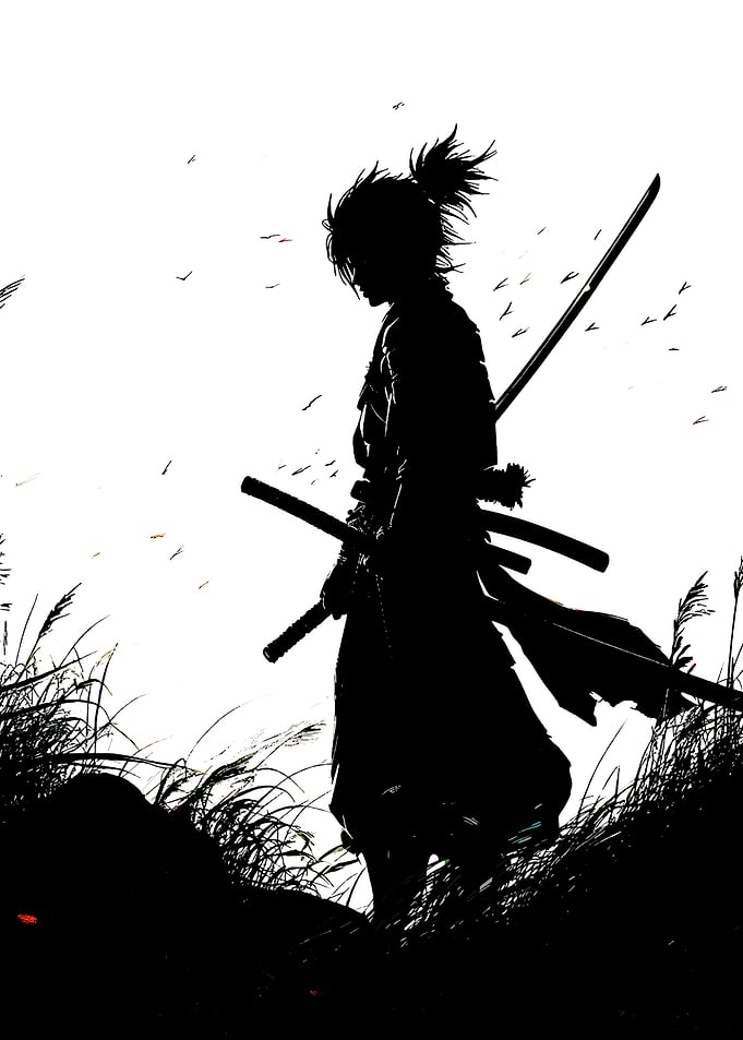 Samurai x Silhouette