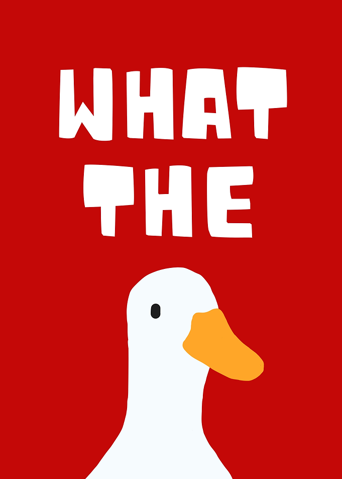 What the Duck