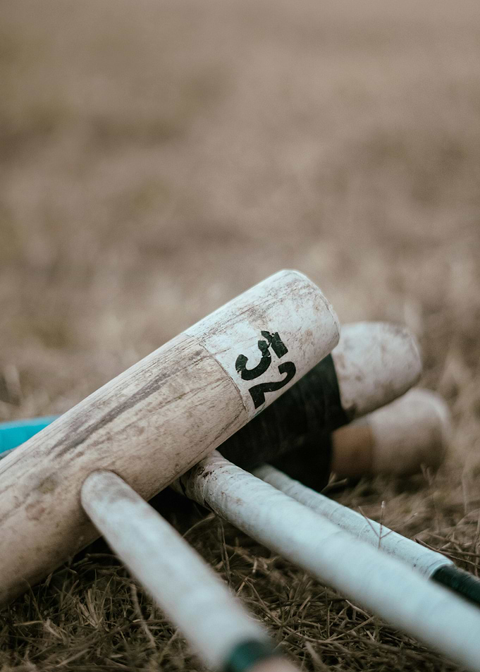 Cricket is a lifestyle