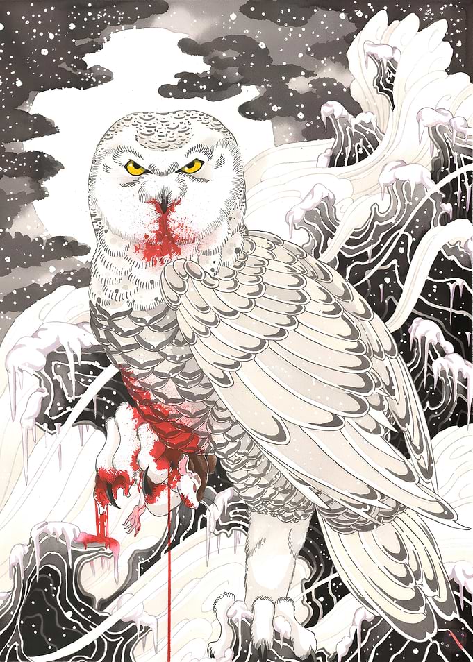Harfang des neiges dans le sang