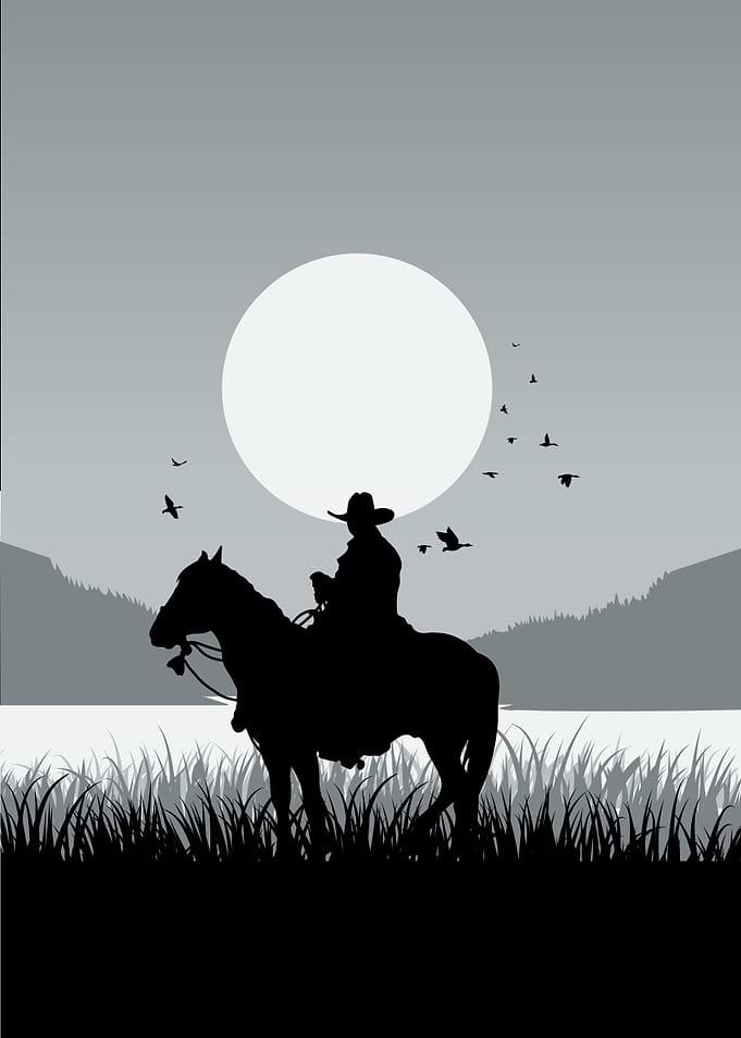 Western Country Cowboy Rodeo Horse