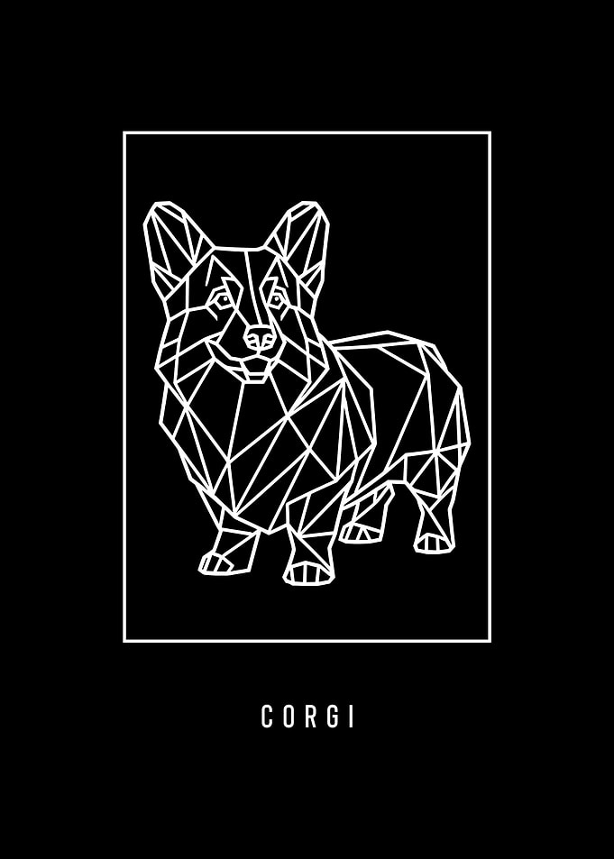 Geometric Corgi Illustration