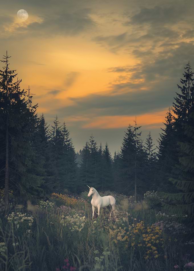 Unicorn in Magical Forest Wildflowers Meadow Art Print, Whimsical Decor, Charming and Cute Wall Art for Fall Season Dark Academia