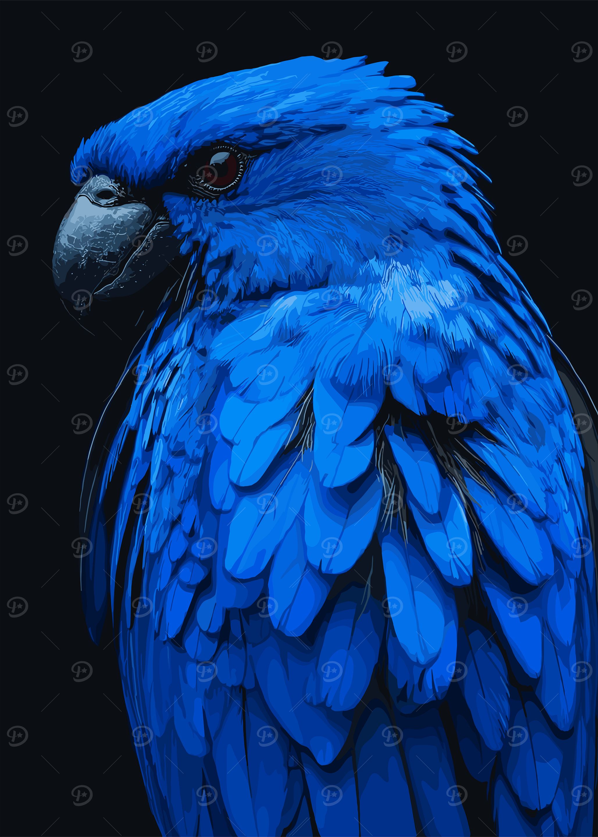 Blue Parrot Illustration
