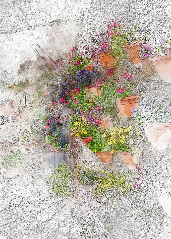 Flower Pots on a Wall