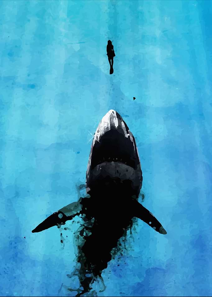 Shark Attack