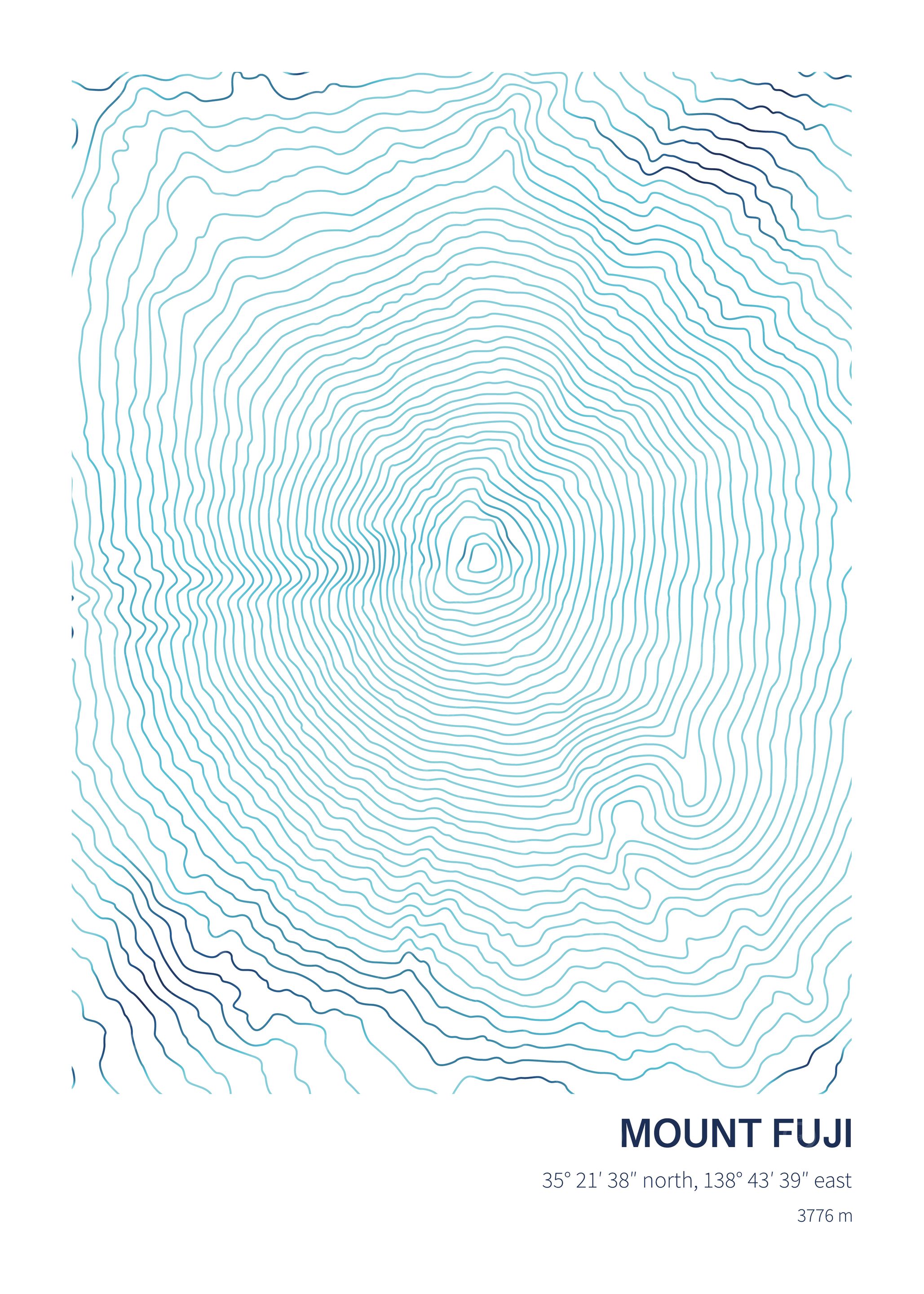 Mount Fuji Topographic Map
