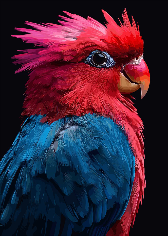 Red and Blue Parrot