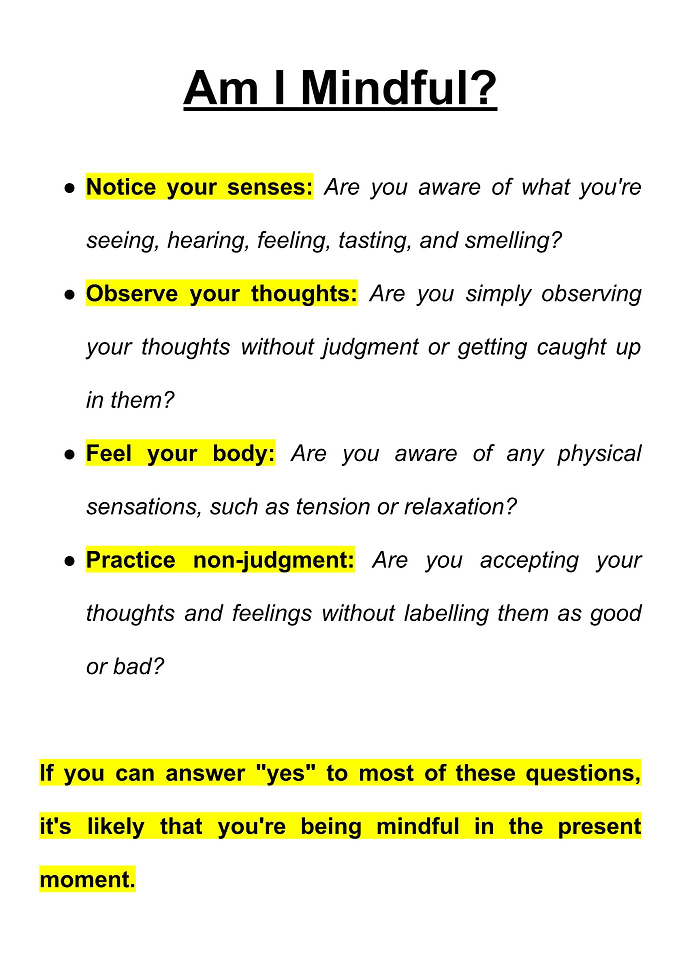 Mindfulness Checklist