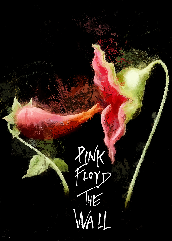 Pink Floyd The Wall Flower