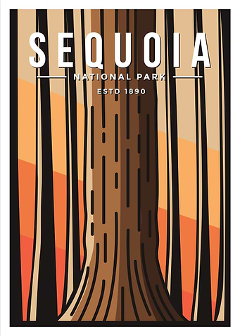 Sequoia National Park