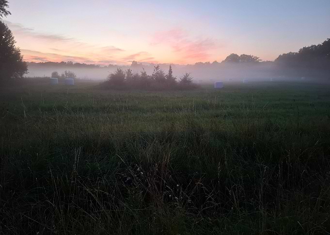 Misty Field Sunset