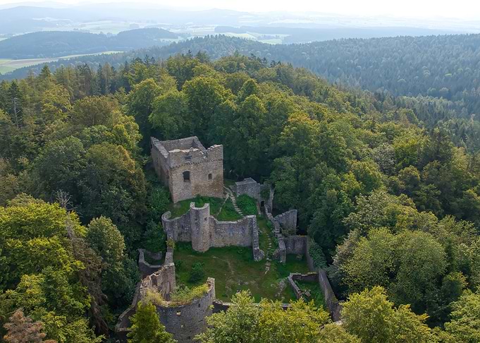 Ruined Castle in Forest