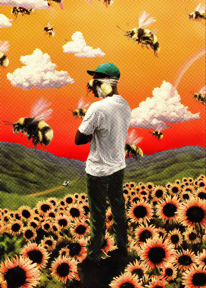 Bee &amp; Sunflower Art