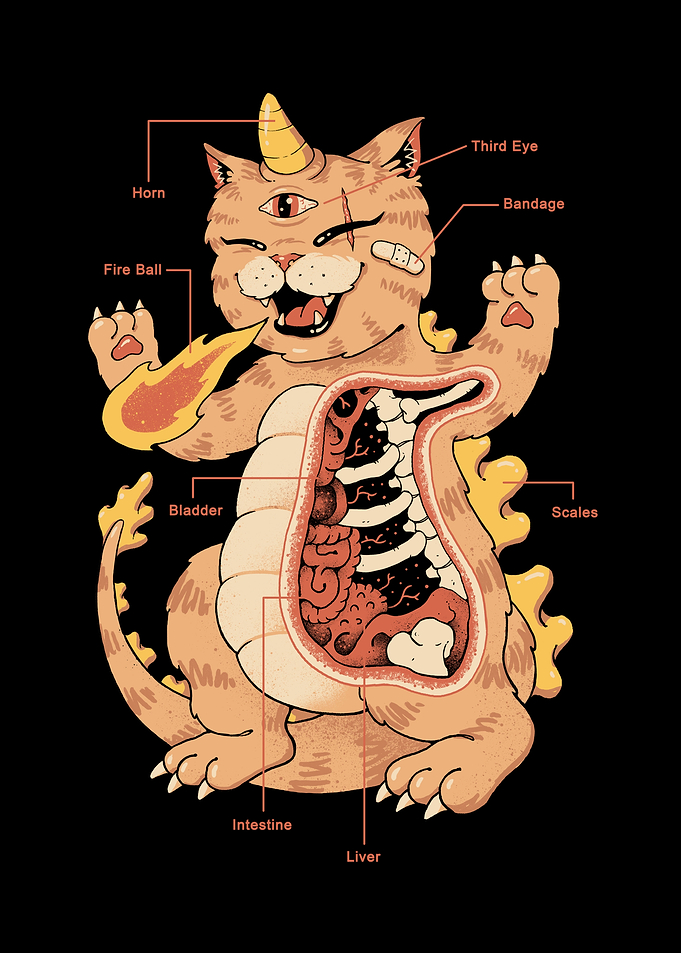 X-Ray Kaiju Meowster