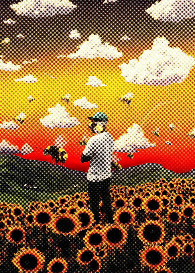 Man in Sunflower Field
