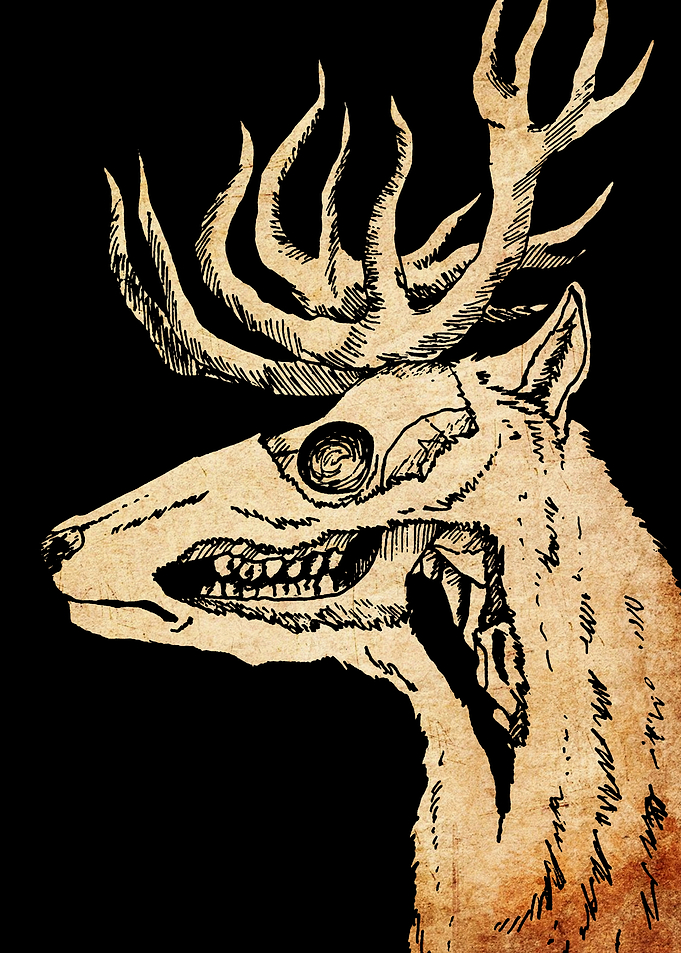Skeletal Deer Skull